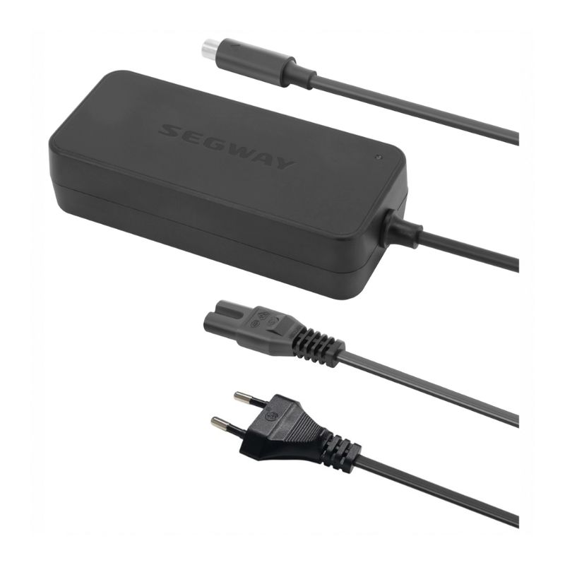Segway charging brick with detachable plug adapters and a barrel connector for the power cable